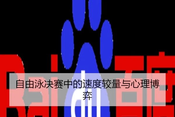 自由泳决赛中的速度较量与心理博弈