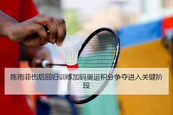 陈雨菲伤后回归训练加码奥运积分争夺进入关键阶段